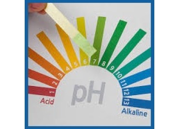 Як поліпшити мікробіом шкіри голови?